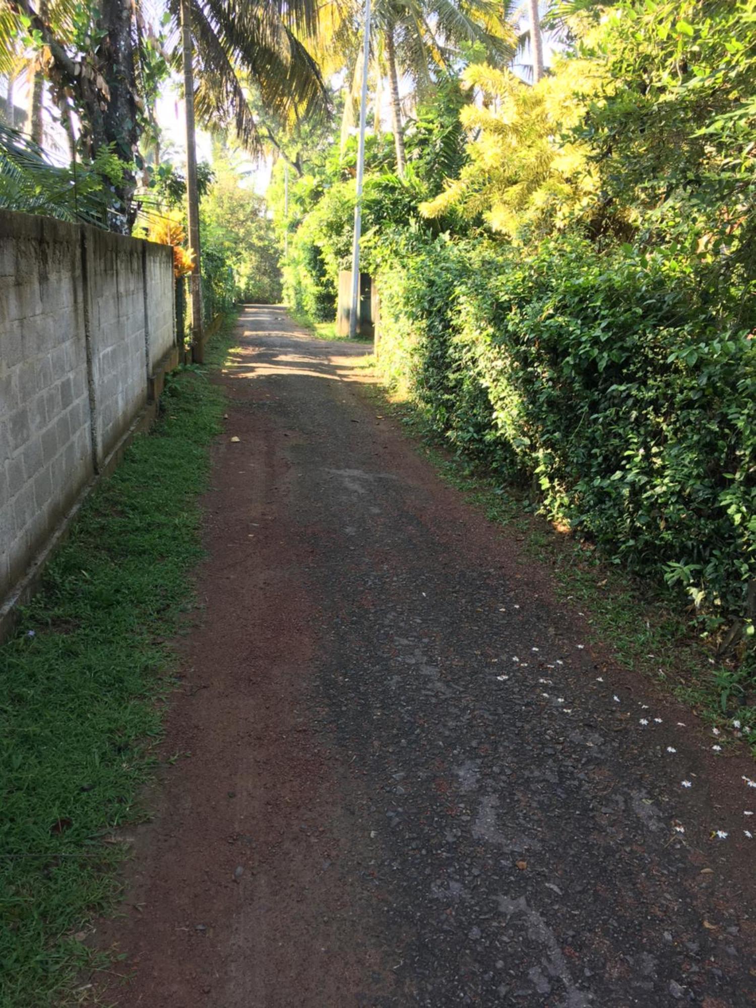 Bosadi Homestay Katunayaka Ngoại thất bức ảnh